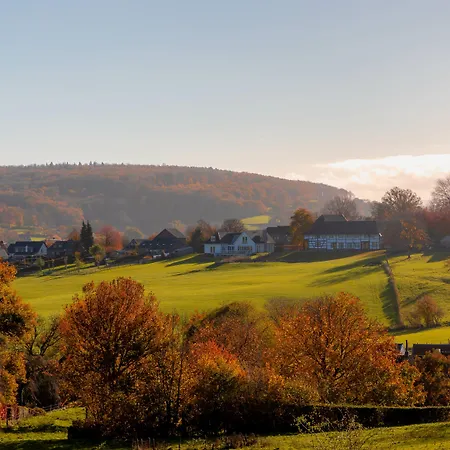 Tulip Centre Hotel 3*