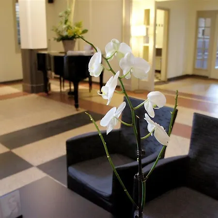 Tulip Centre הירלן